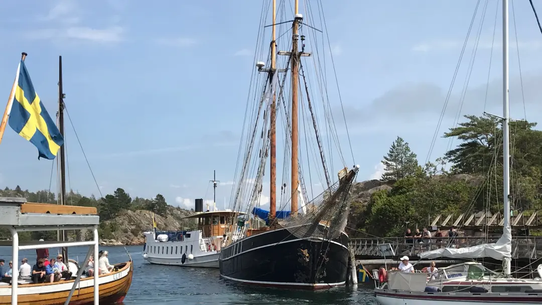 Dagsegling Bassholmen 11 Juli 2026