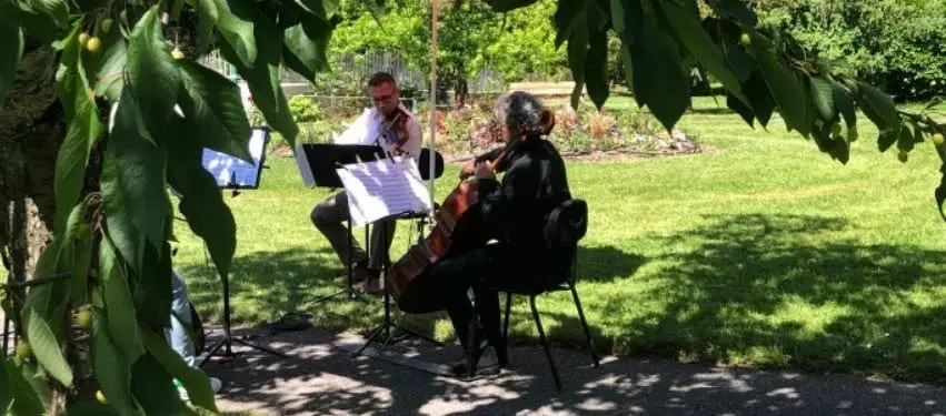 Concert classique gratuit en plein air par l'Orchestre de Chambre de Genève
