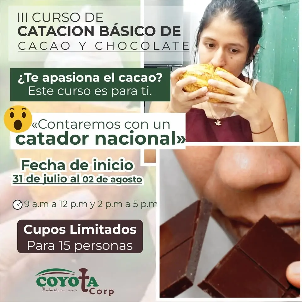 Curso catacion básico de cacao chocolate
