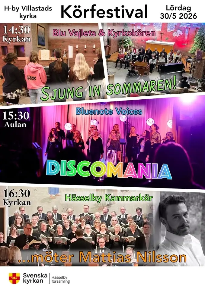 Körfestival! 🎶