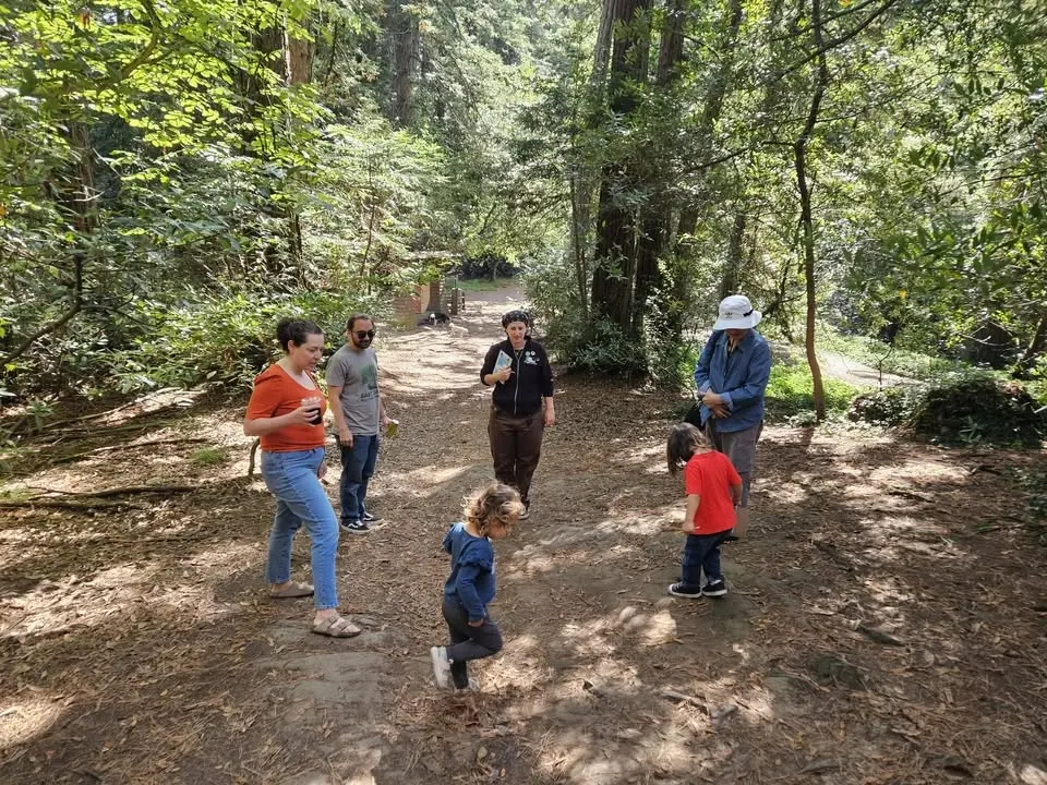 Family Nature Adventures: Owls