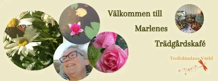 Trädgårdskafè i Trollsländans värld