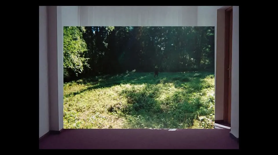 FLOCK – en audiovisuell installation