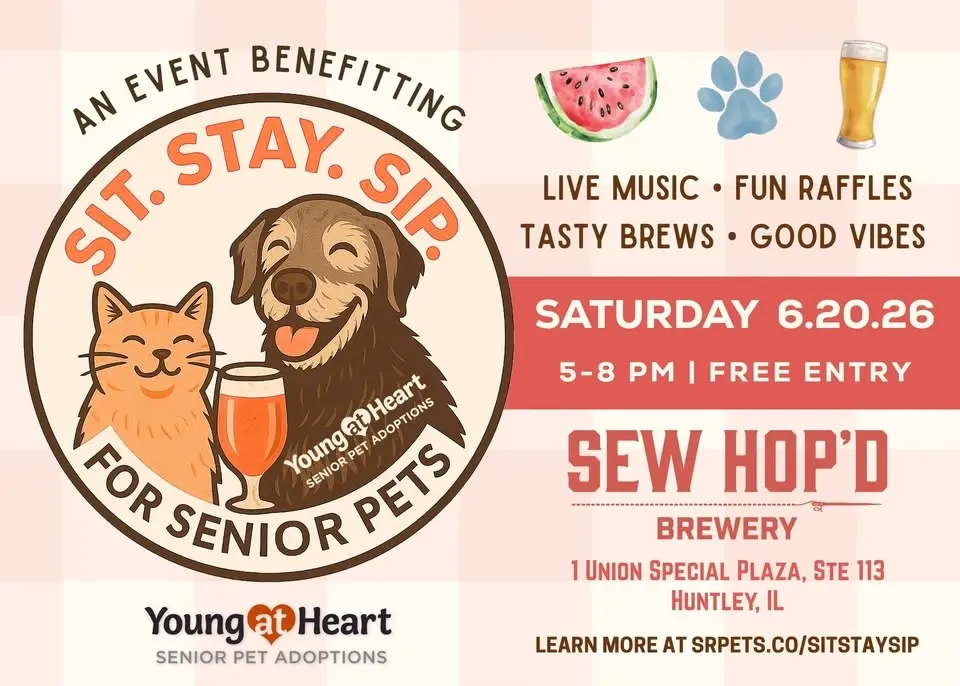 Sit. Stay. Sip for Young at Heart's Senior Pets 🍺