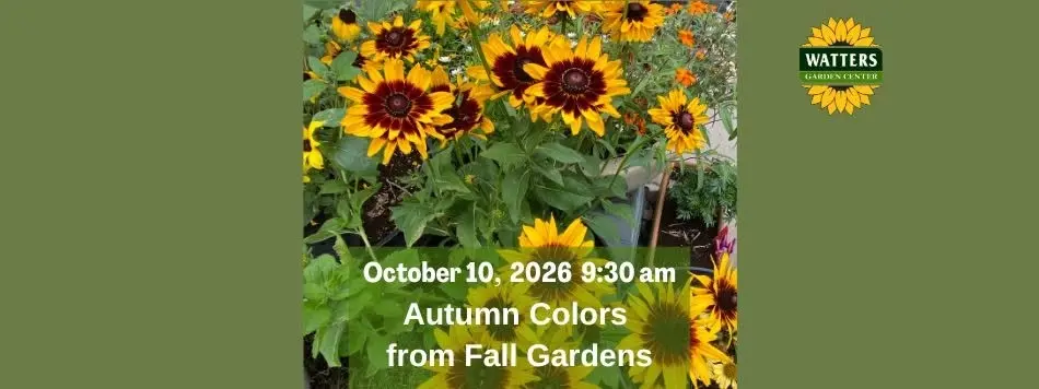 Free Garden Class: Autumn Colors from Fall Gardens