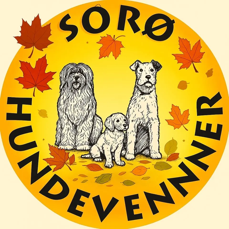 Sensommerstævne i Sorø 2026