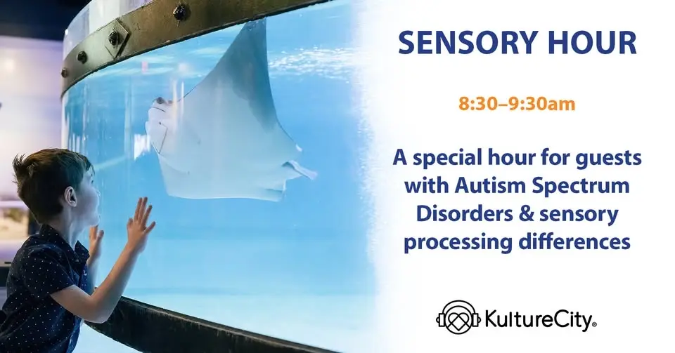 Sensory Hour @ CLEAquarium 