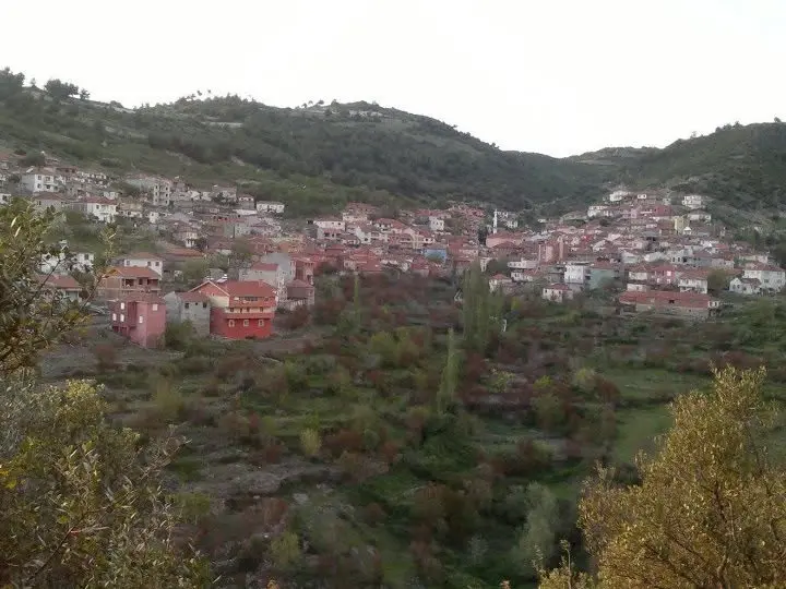Samet Muslu Ailesinin Sünnet Cemiyeti 