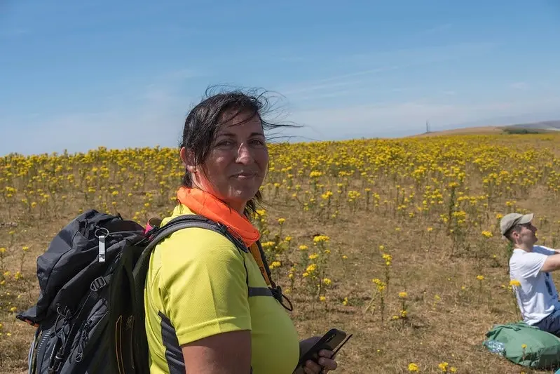 Glynde to Seaford Walk - Sat 01 Aug 2026