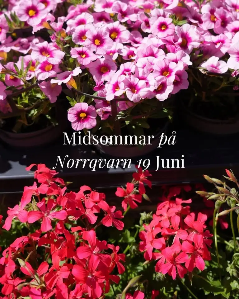 Midsommar på Norrqvarn