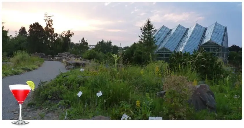 "Summerfeeling im Botanischen Garten" - Gartenführung mit Cocktail