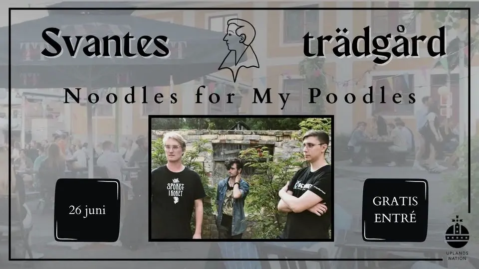 Livemusik i Svantes - Noodles for my Poodles