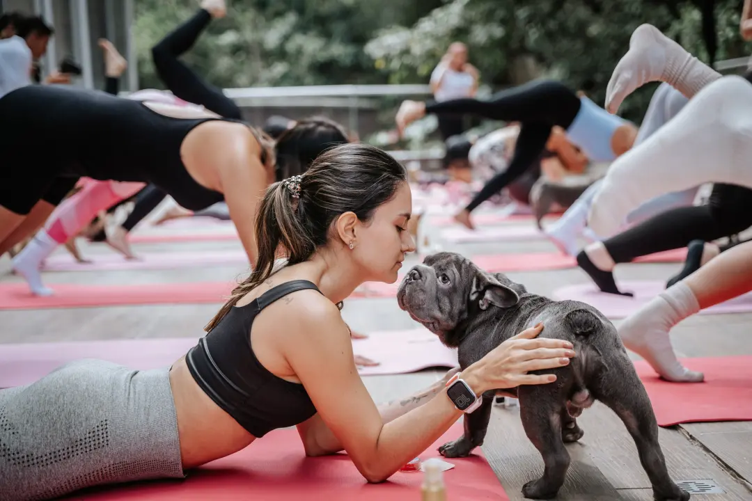 Puppy Yoga & Brunch - 12 de Julio