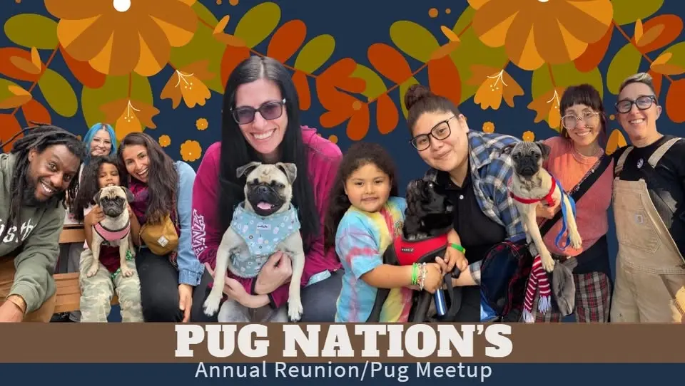 Pug Nation's Annual Reunion/Pug Meetup