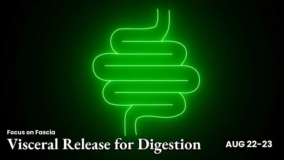 Focus on Fascia: Visceral Release for Digestion