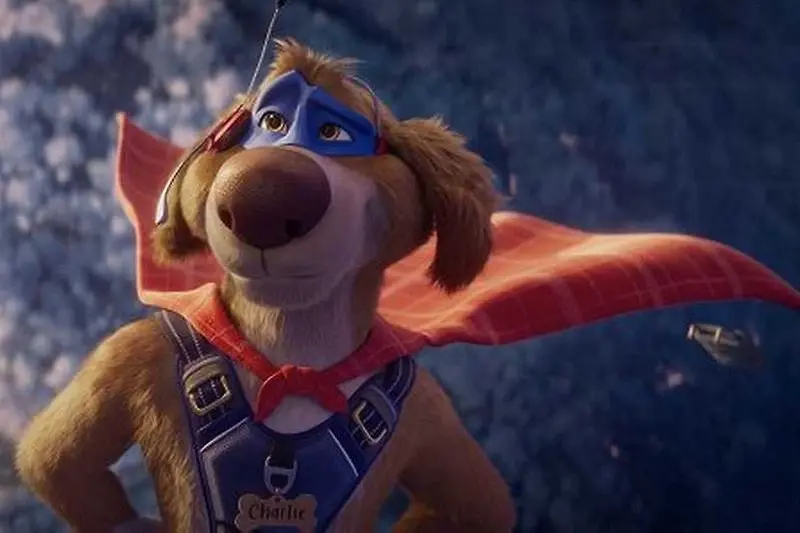 Charlie the Wonderdog