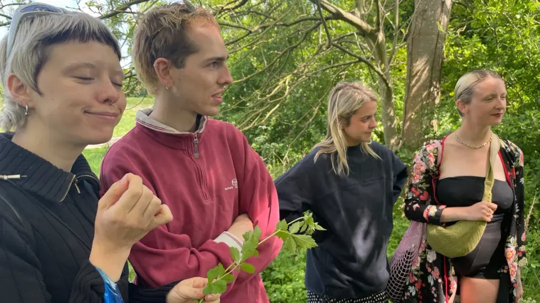 Wild Food and Fungi Forage: Mexican tortilla