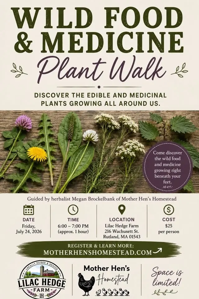 Wild Food & Medicine Plant Walk