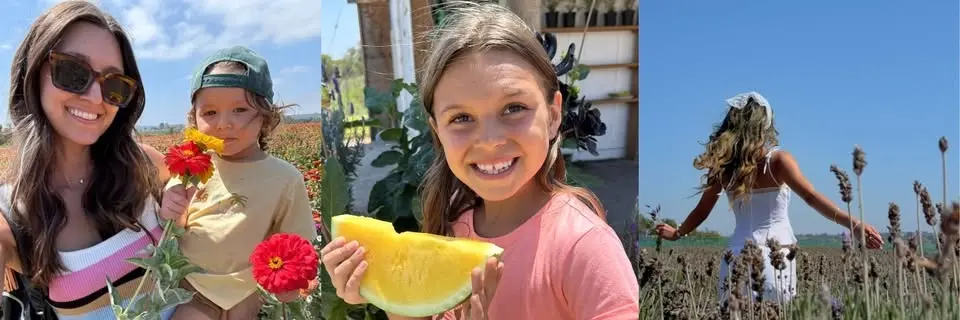 Oceanside's Watermelon & Lavender Festival