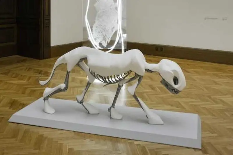 Ateliérovka: Jako kočka a myš