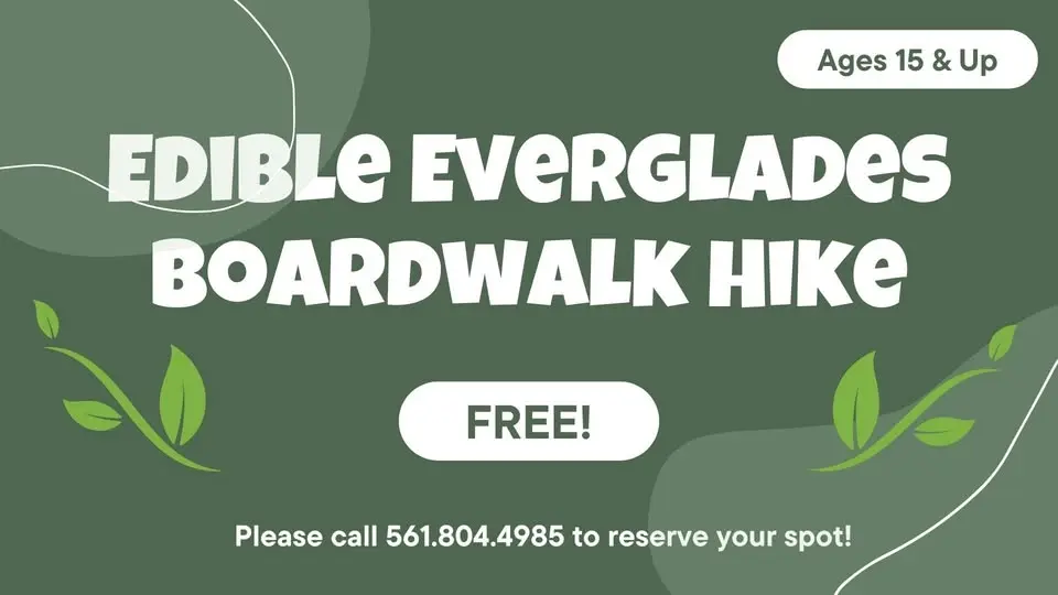 Edible Everglades Boardwalk Hike
