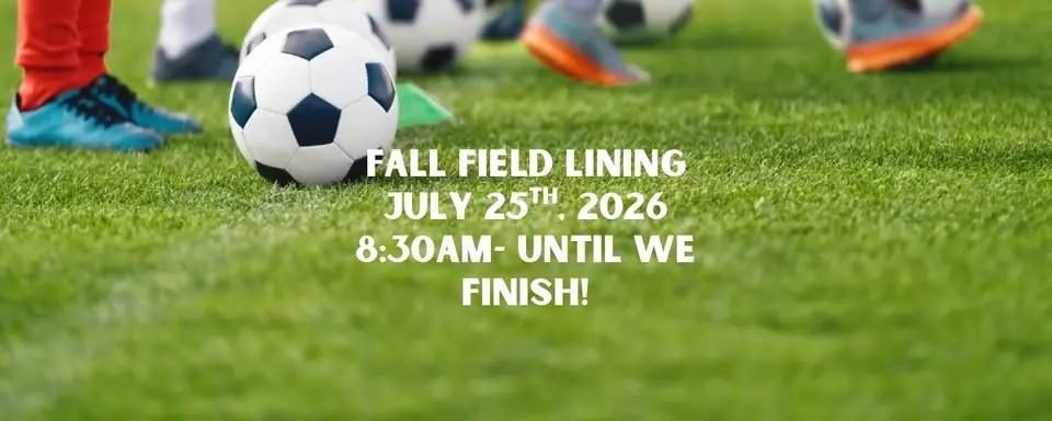 Fall Field Lining