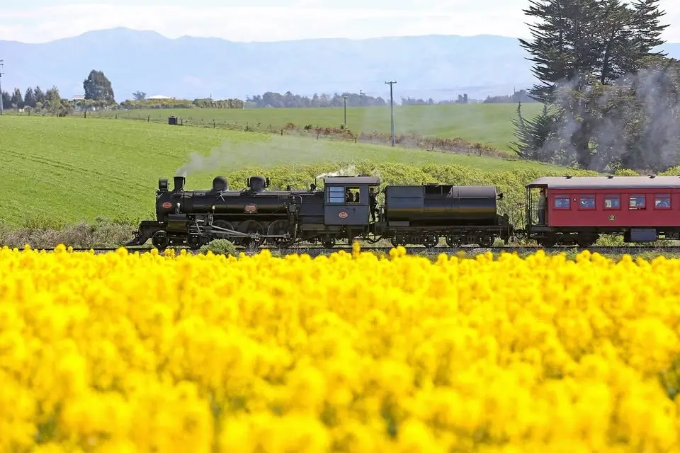 The Daffodil Express