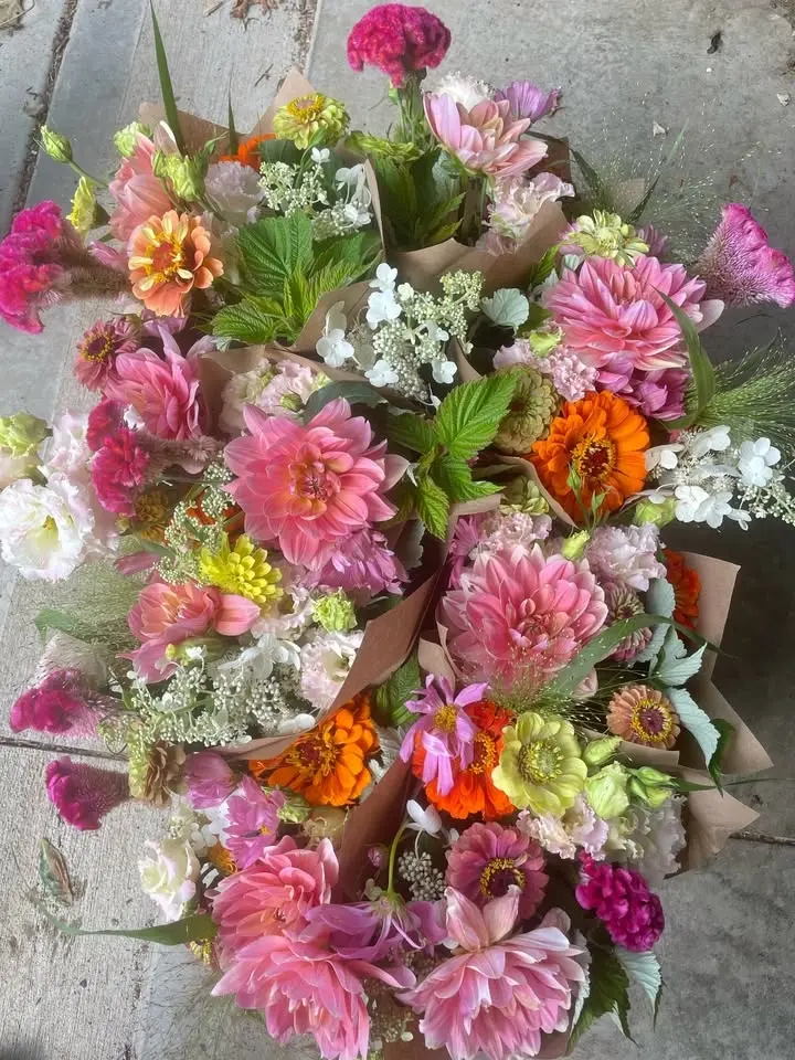 Women's Equality Day: 19th Amendment's Anniv - Flower Arranging Class + Wine, Charcuterie, Cheese