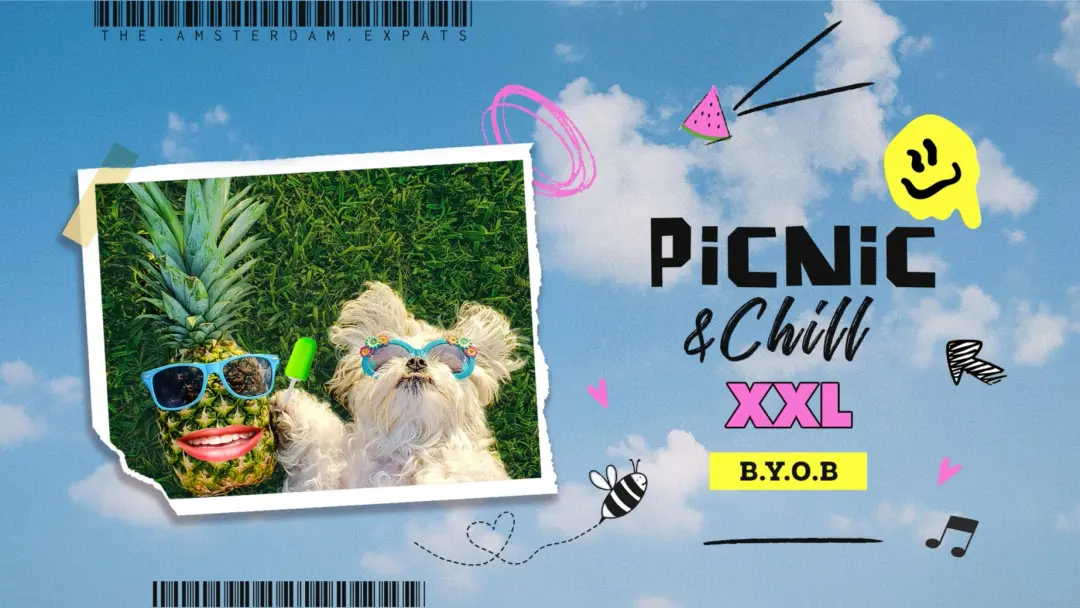 ☀️ Picnic & Chill XXL ☀️ @ Vondelpark (Communities Gathering)