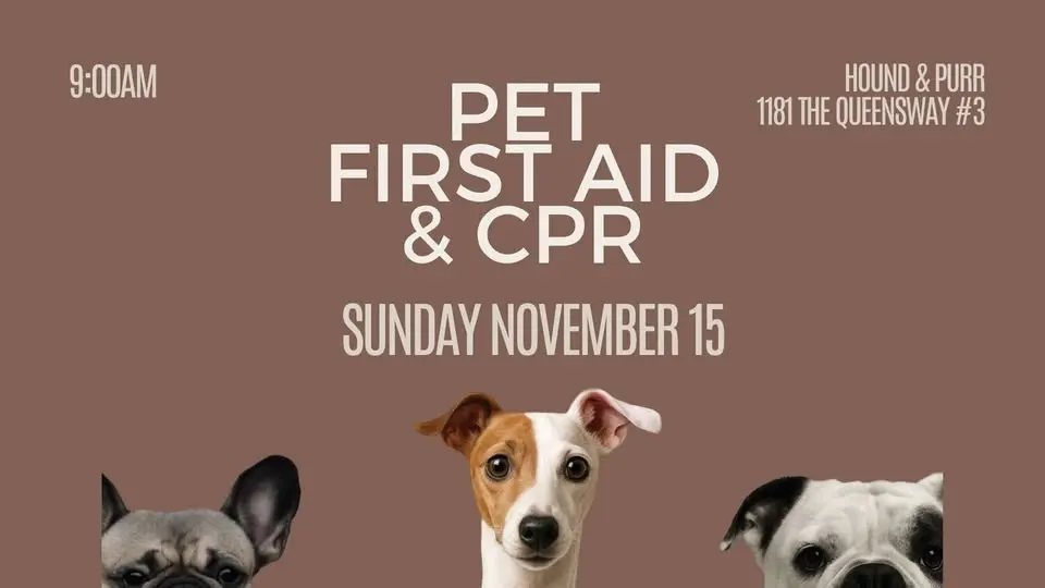 Pet First Aid & CPR