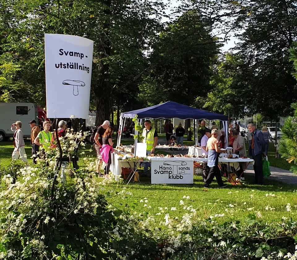 Svamputställning på Korsmässomarknaden