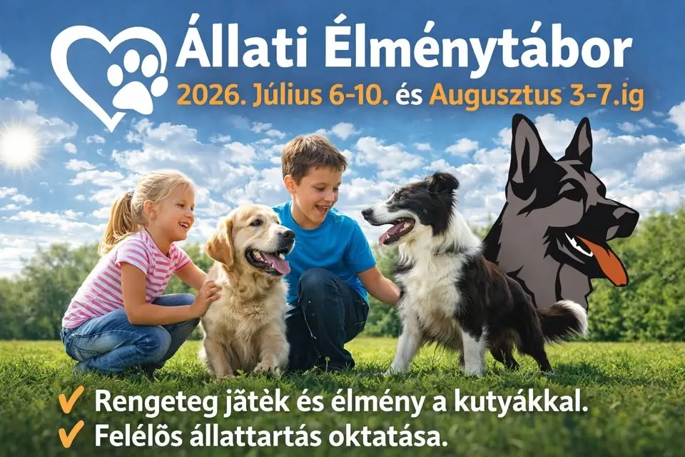 Állati Élménytábor