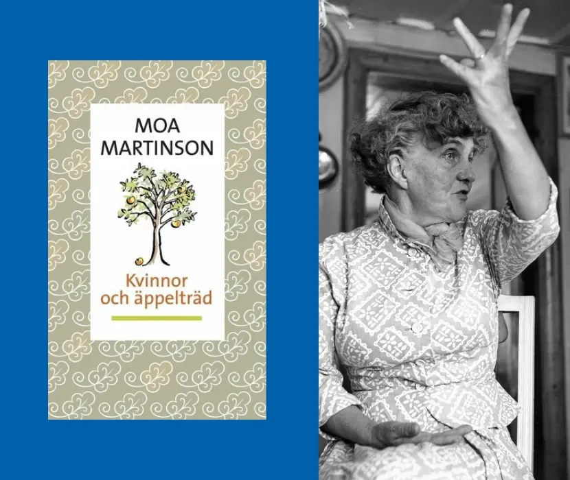 Boksamtal: Moa Martinson