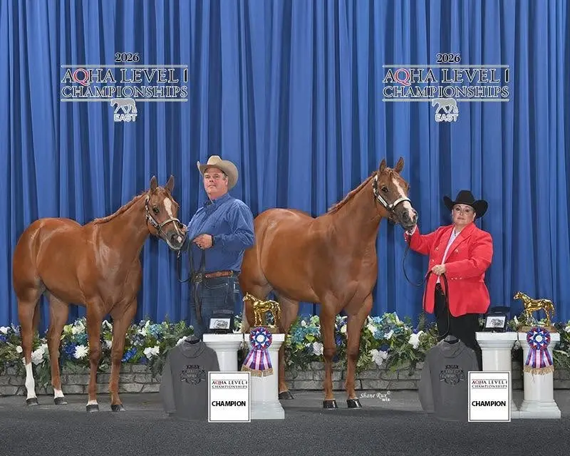 AQHA Youth Word Show