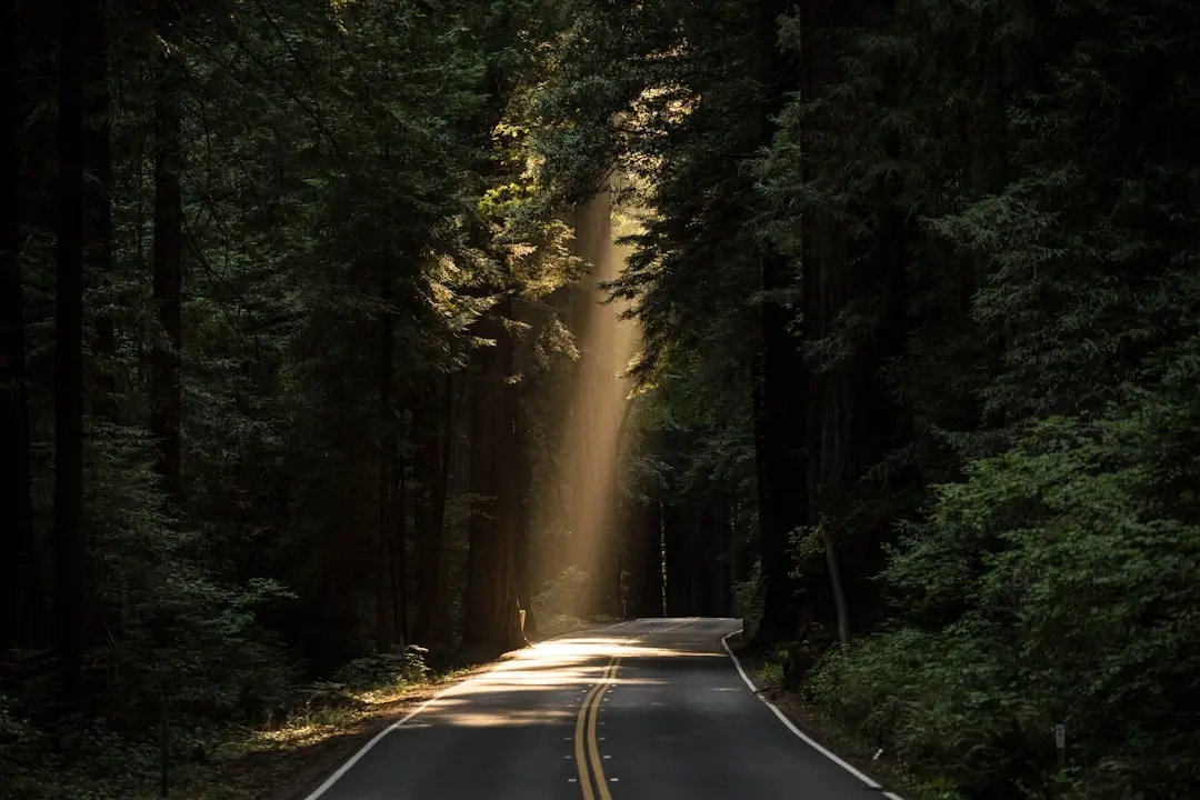 While We Still Can: The AI Revolution and Our Last Chance to Steer the Future