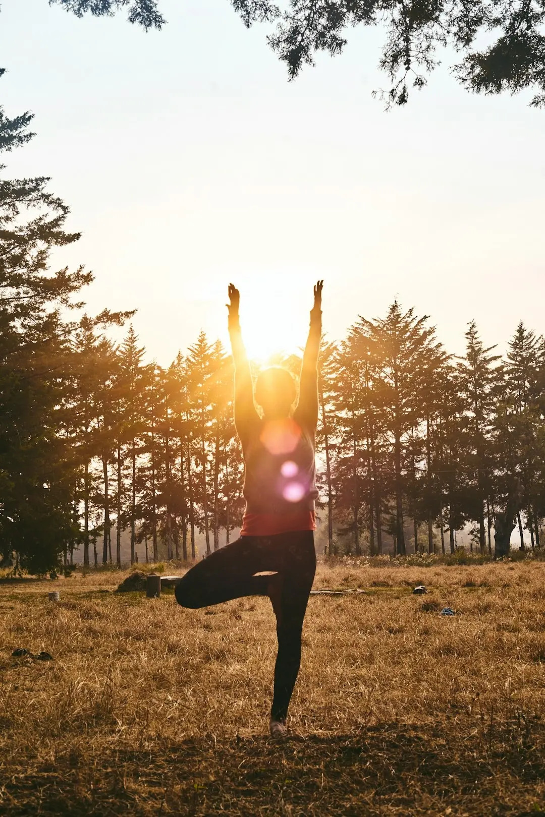 Yoga in High Park