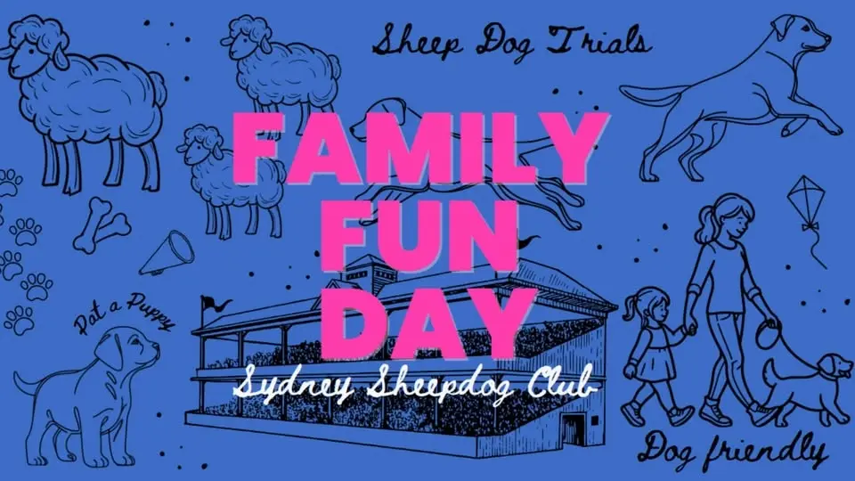 Family Fun Day at DogPro 3 Sheep Championship Trial