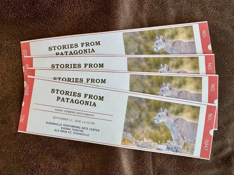 Stories from Patagonia