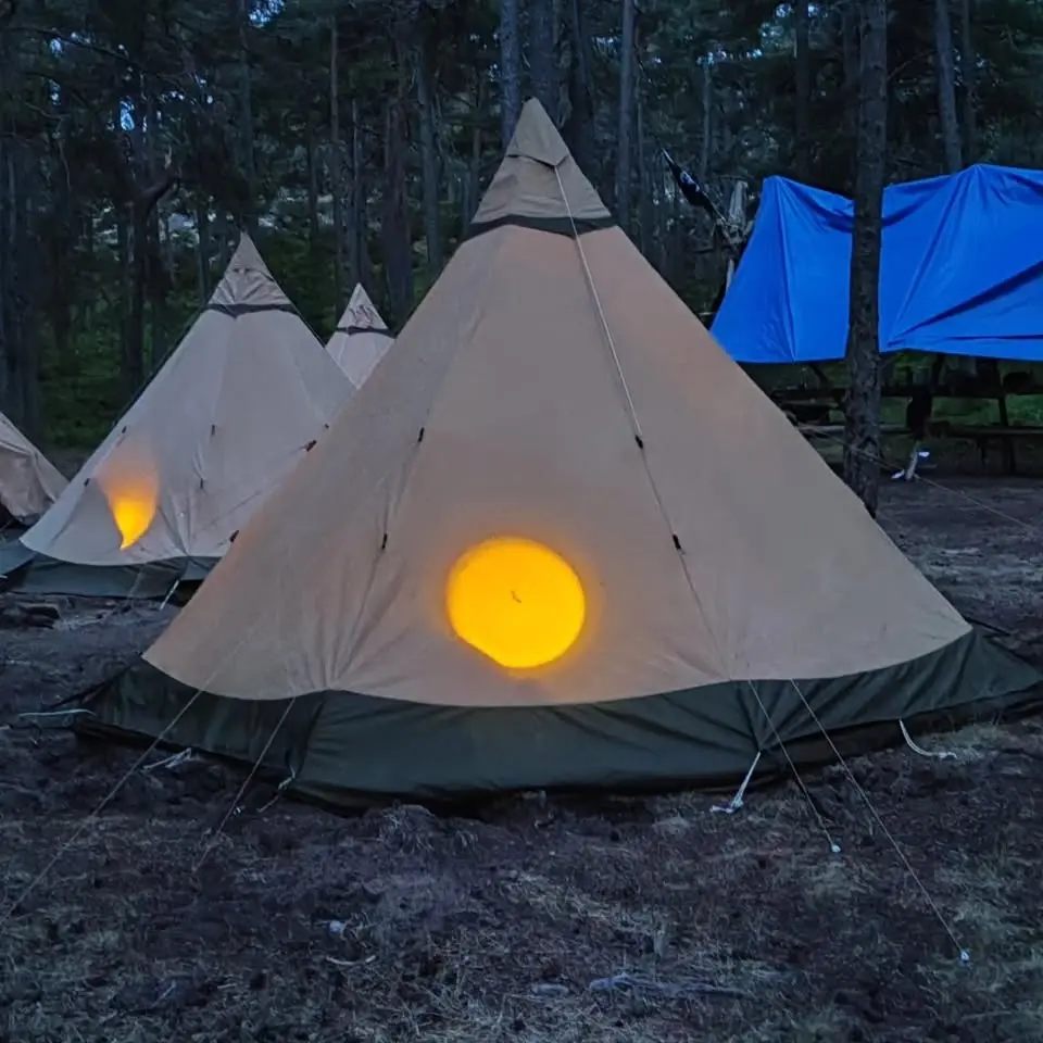 Valborg med Vendelsö Scoutkår