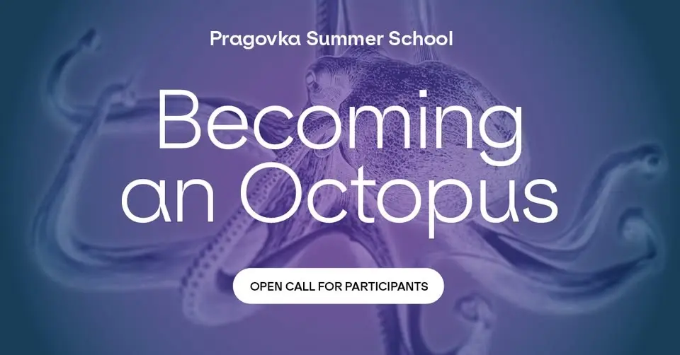 Becoming an Octopus – Summer School for Artists, Curators, Theorists, Cultural Workers