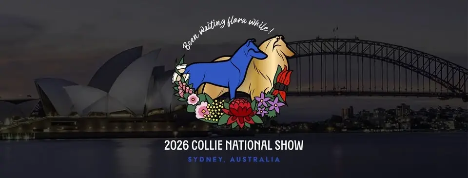 2026 Collie National Show | Sydney, Australia