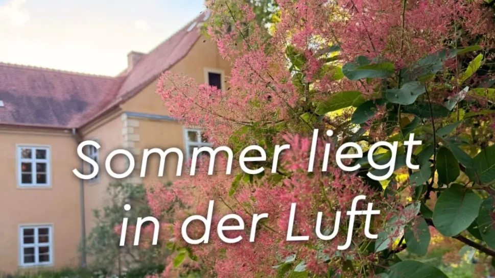 Reading in Companionable Silence on tour: Domäne Dahlem (breakfast/farm/museum)