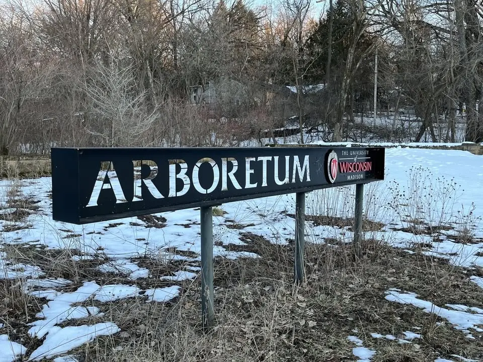 Morning Miles in Arb