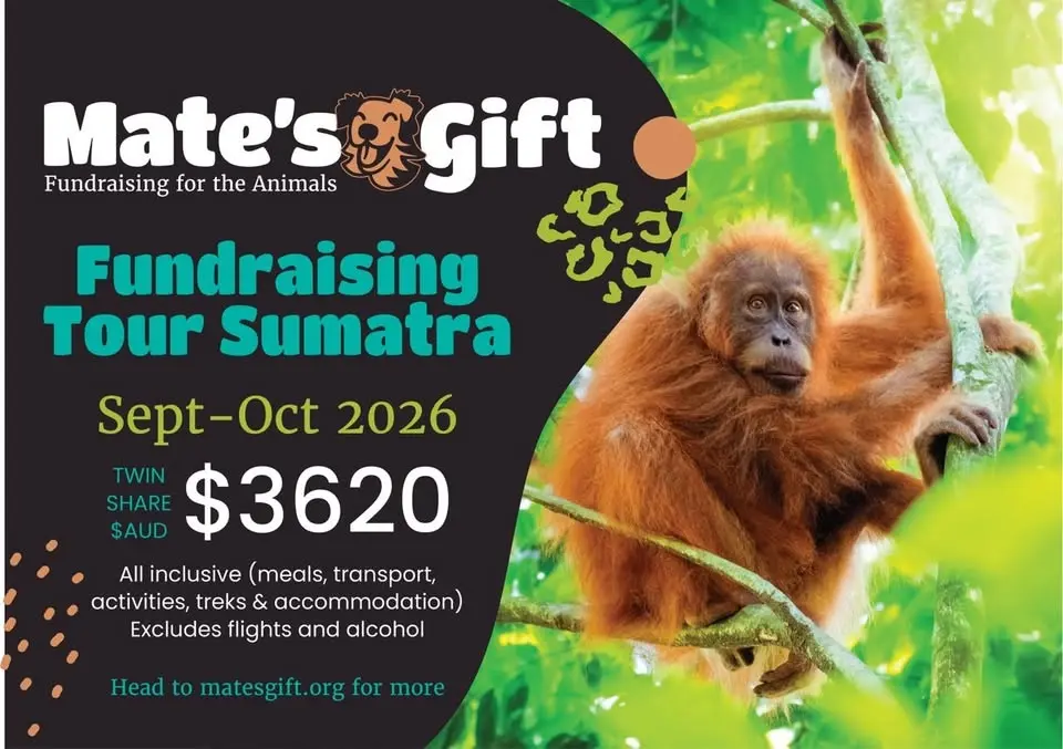 2026 Mate's Gift Fundraising Tour