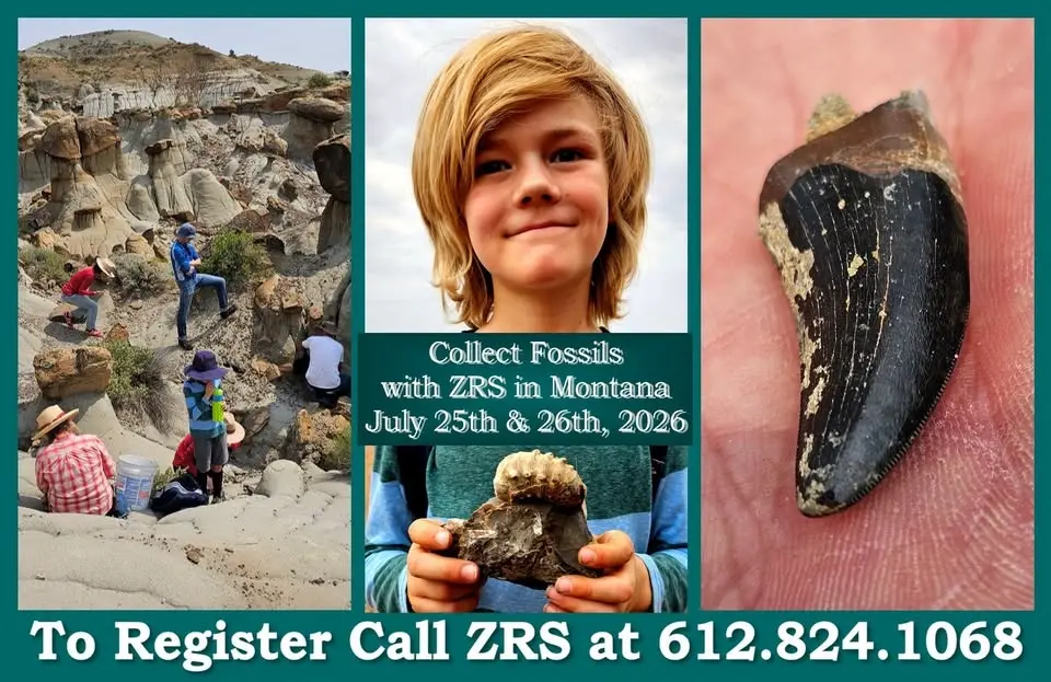 Join ZRS for Fossil Collecting in Montana this summer!
