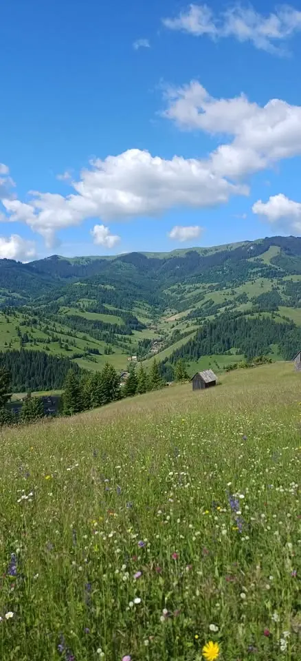 Vadvirág túranap az Orodik hegyére!
