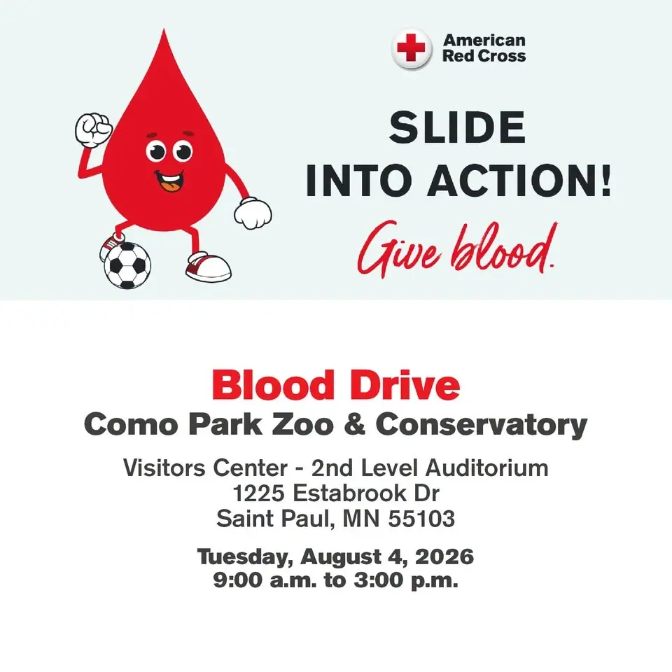 American Red Cross Blood Drive