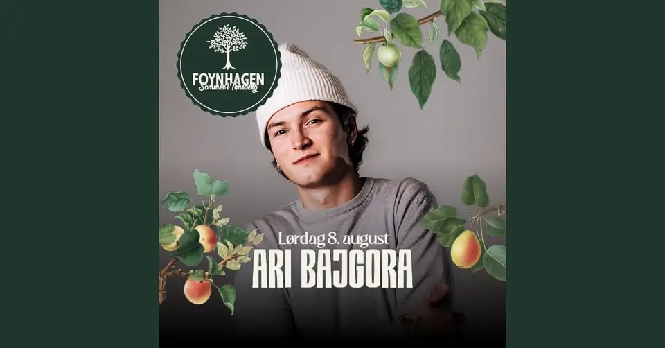 Ari Bajgora // Foynhagen