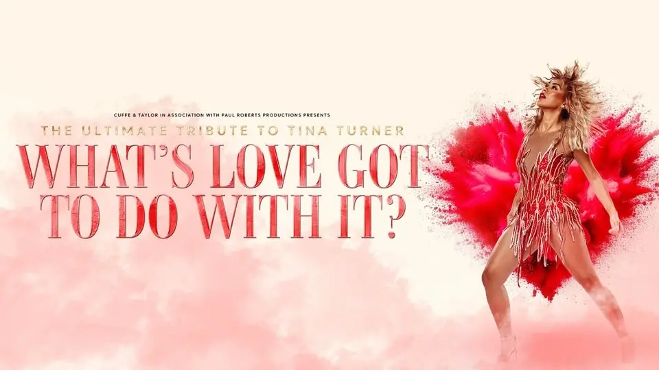 What's Love Got to do With it - Tina Turner Tribute | London