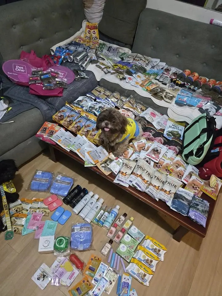 International Pet Summit 2026